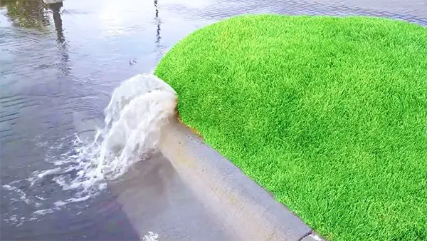 What Causes Grass Bubbles? (And How To Fix Them)