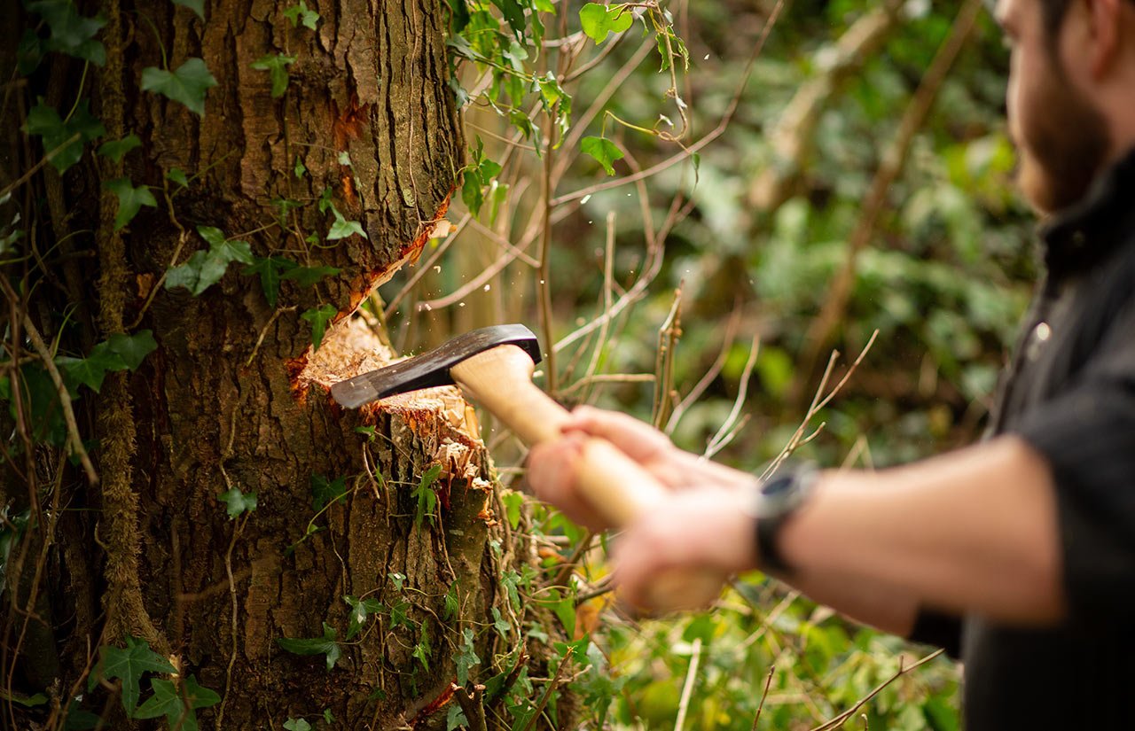 How To Fell A Leaning Tree