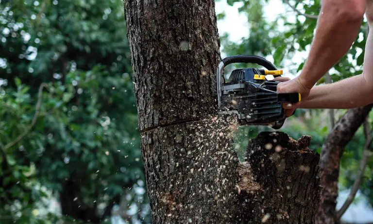 How To Cut Down A Large Tree Near A House