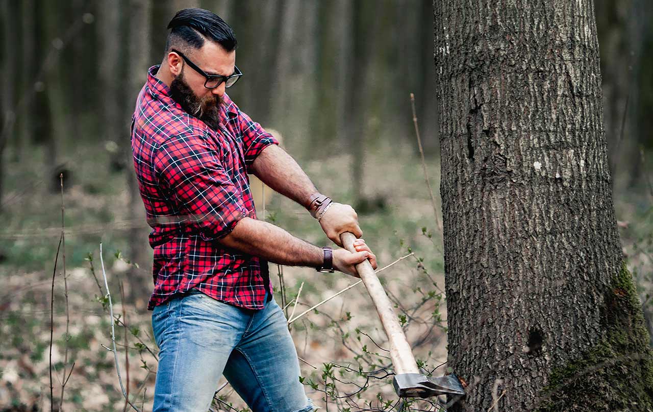 How To Cut Down A Large Tree Near A House