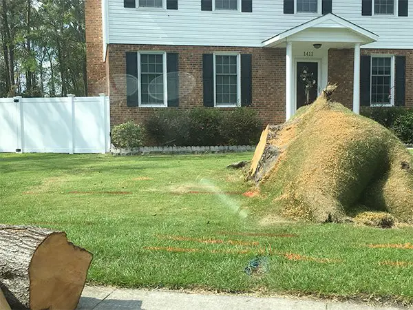 huge grass bubble