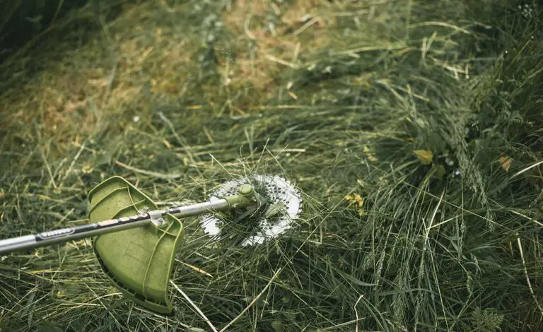 How to Permanently Kill Grass and Weeds