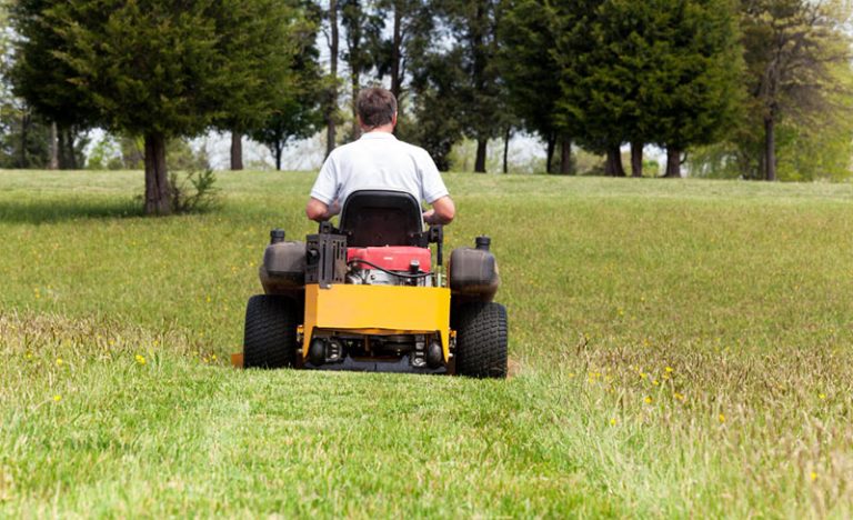 Cheapest Zero Turn Mower: Top Budget Picks (2024)