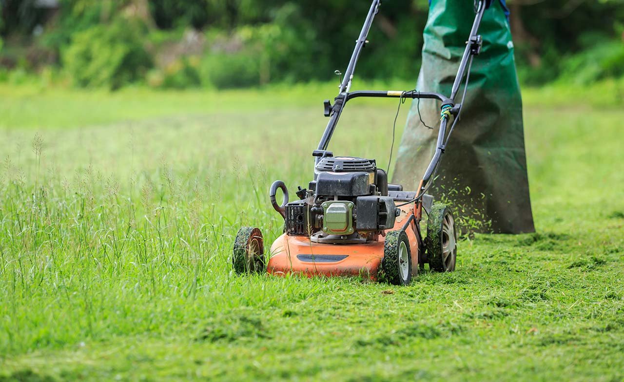 How Long To Wait Before Watering Or Mowing Lawn After Liquid Iron ...