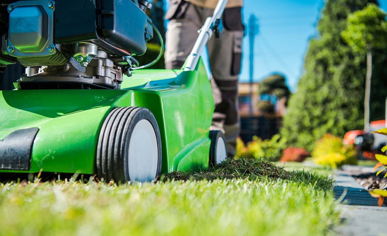 Should You Dethatch Or Aerate A Lawn First?