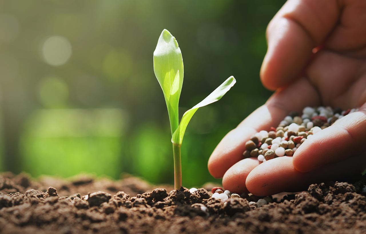 What Does NPK Stand For In Fertilizer?