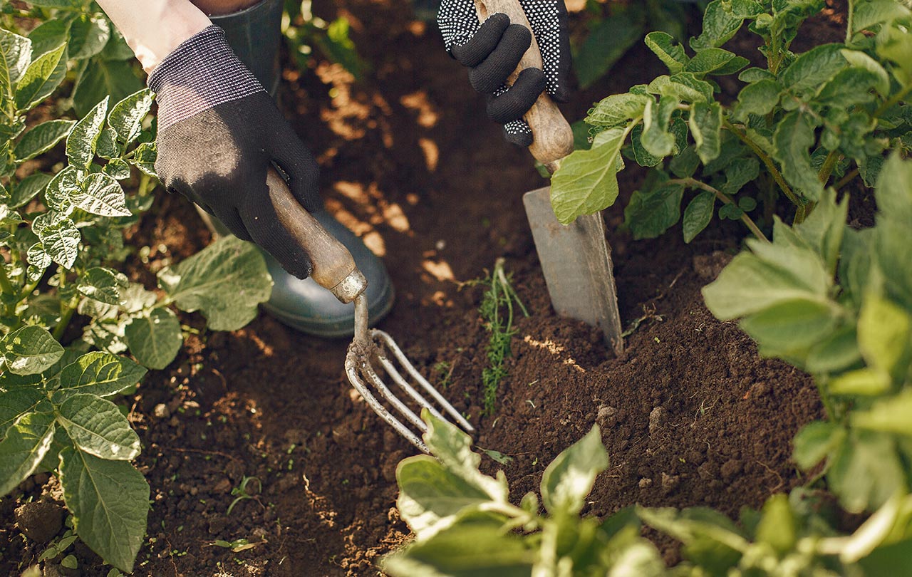 What Does NPK Stand For In Fertilizer?