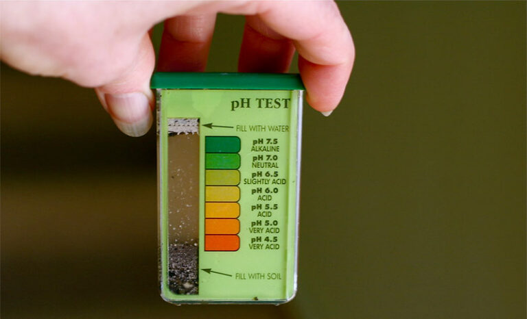 testing soil pH