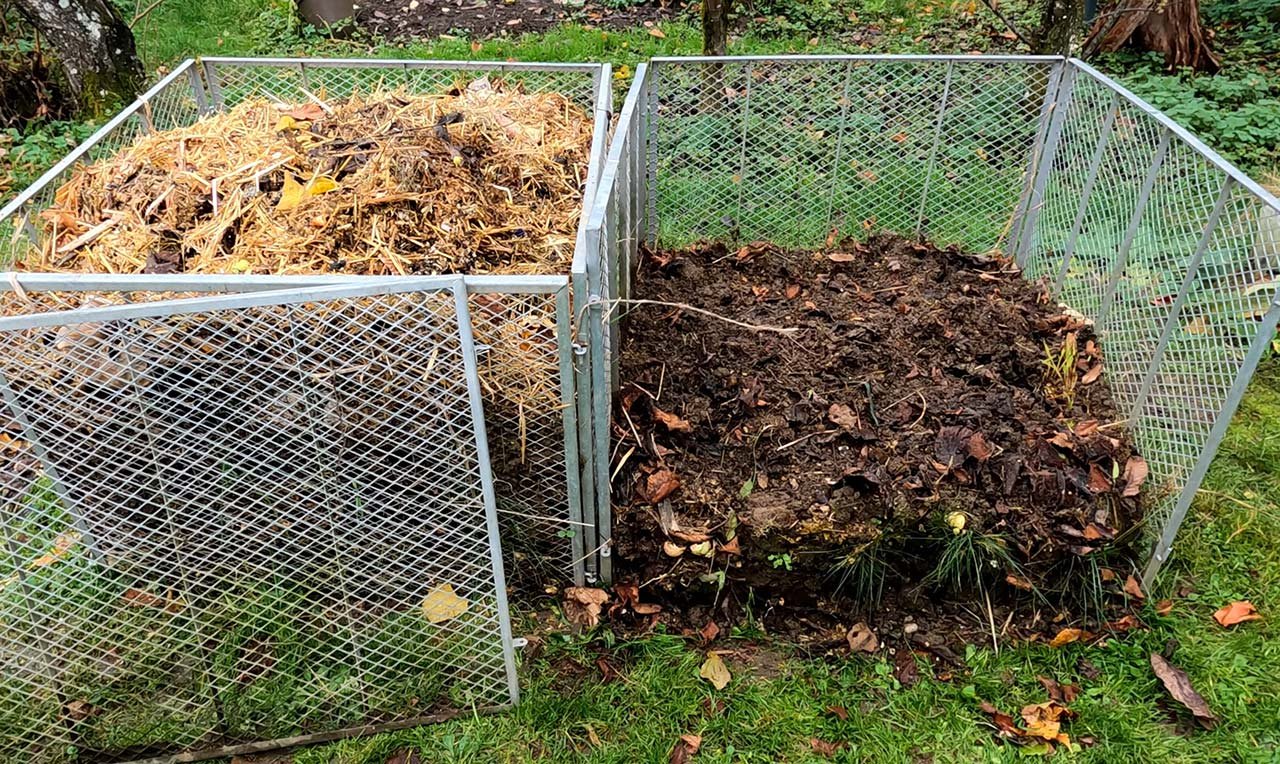 5 Clever Uses For Coffee Grounds In The Garden