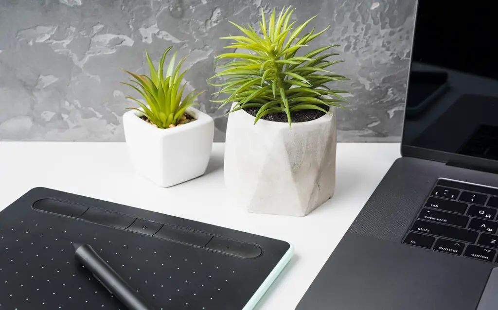 desk plants 3
