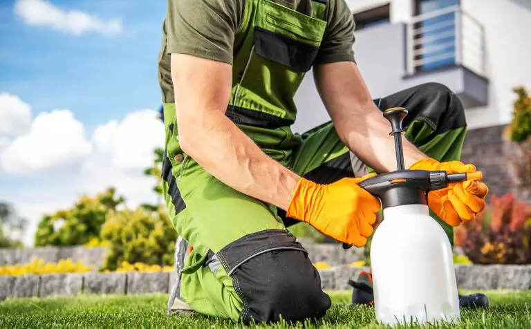 How And When To Apply Liquid Iron For Lawns
