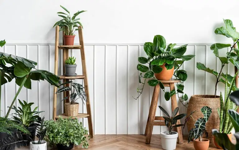 145 Plant Quotes For Instagram & Plant Lovers Who Need Inspiration