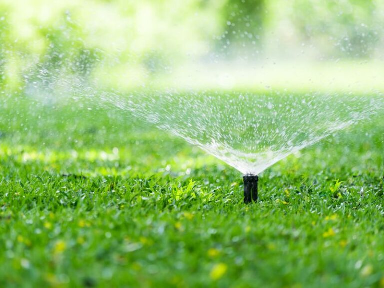 sprinkler on lawn