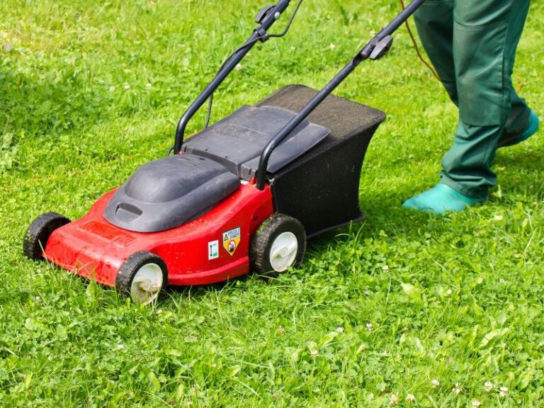 Best Lawn Mower for Tall Person: Top Options for Comfort and Efficiency (2023)
