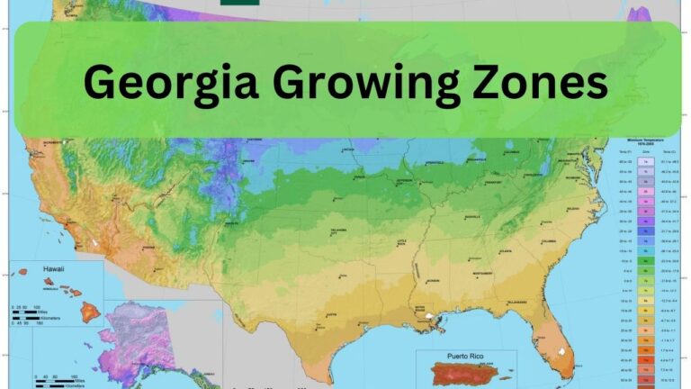 Growing Zones Georgia: What To Know Before Planting 14 Georgia Growing Zones