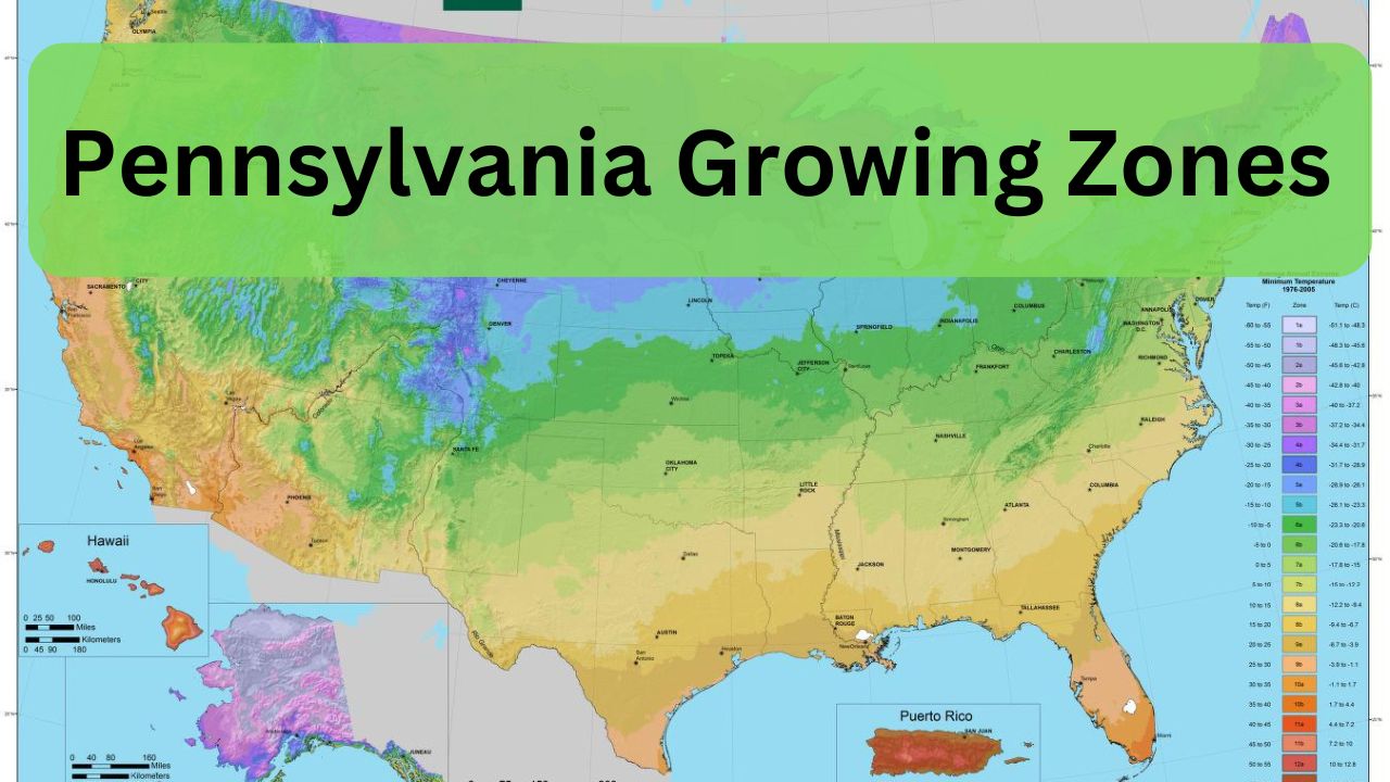 Planting Zones in Pennsylvania What You Need to Know