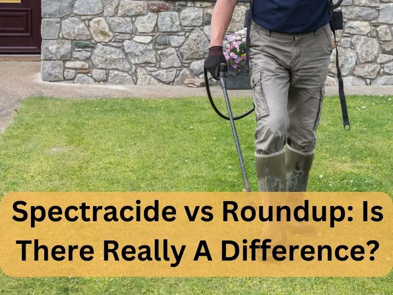 Spectracide vs Roundup: Is There Really A Difference?