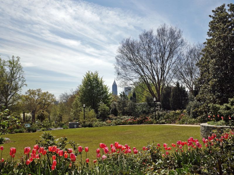 atlanta botanical garden