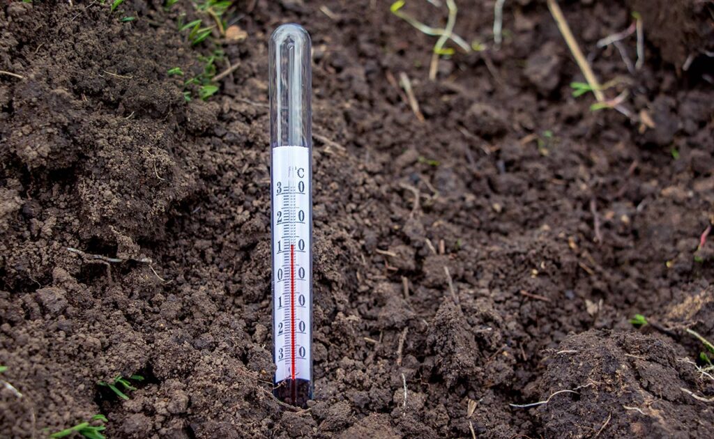 soil temp