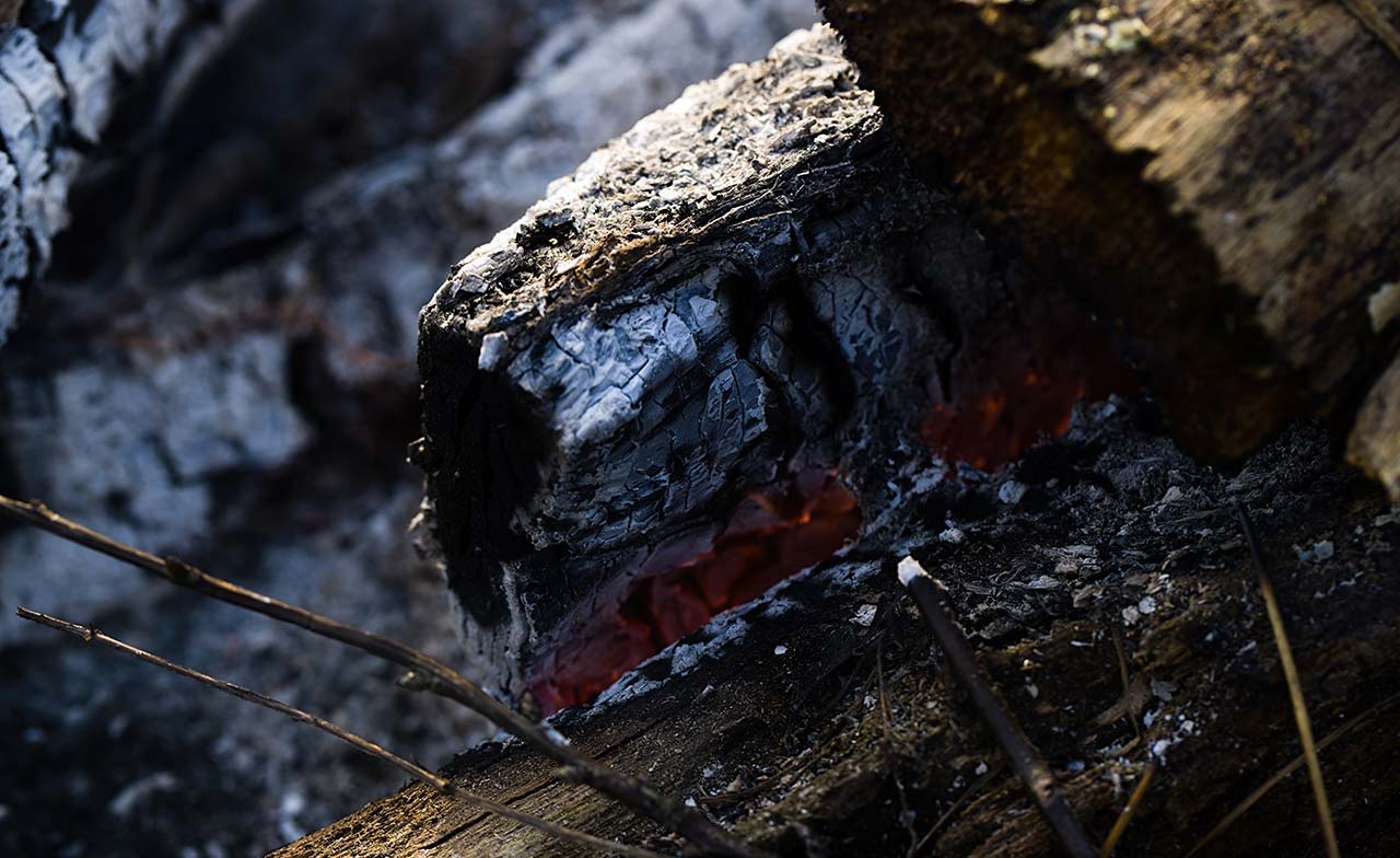 Is Wood Ash Good for Grass? What You Need To Know