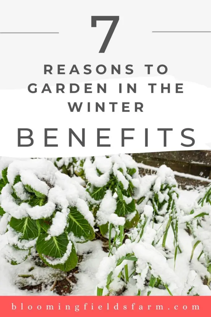 7 Unexpected Benefits Of Winter Gardening