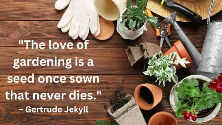 Gardening Quotes: Wisdom & Inspiration for Nature Lovers
