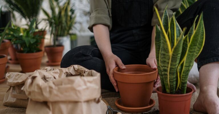I Found 21 Creative Ways To Reuse Terracotta Pots In My Garden