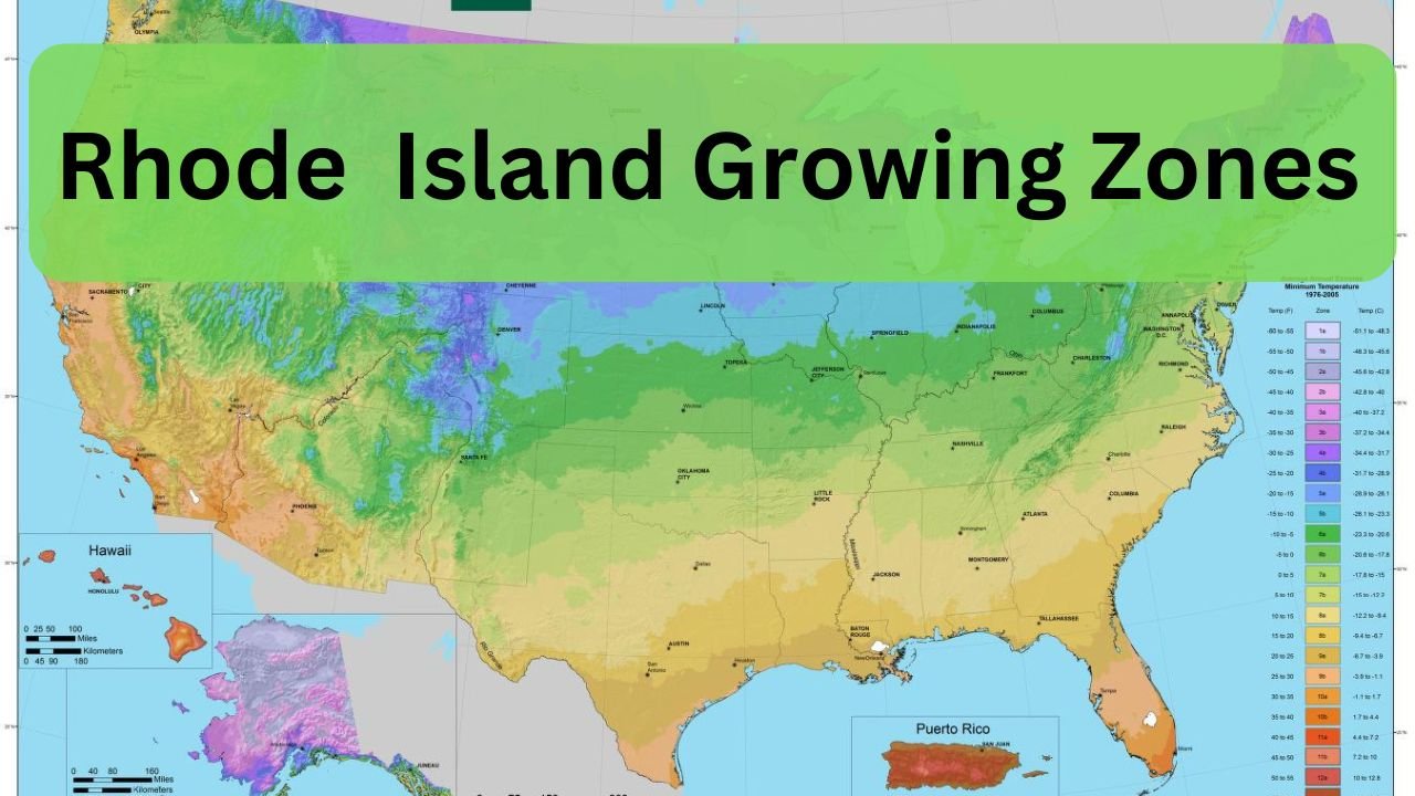 Planting Zones in Rhode Island What To Know Before Planting