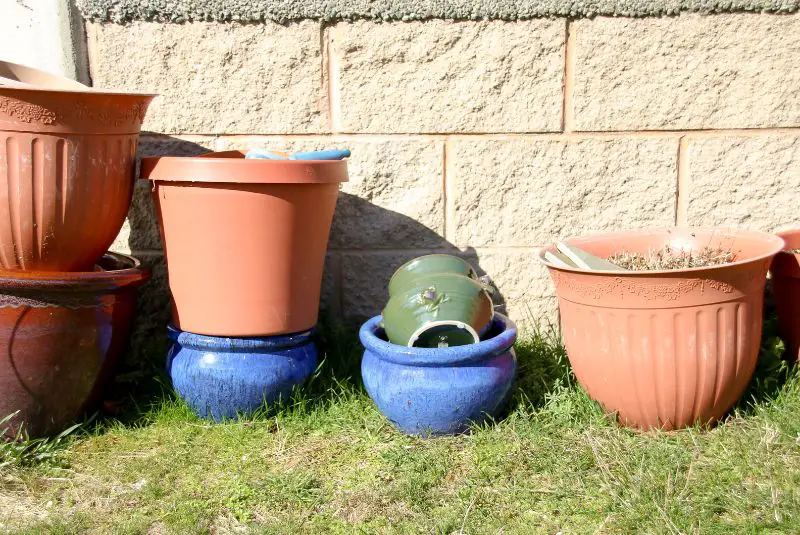 terracotta pots in grass